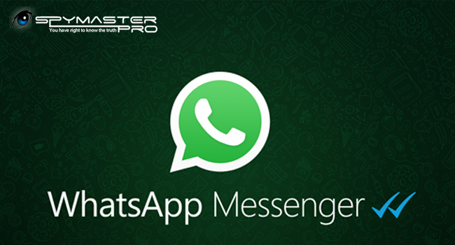 Track WhatsApp Messages With Spymaster Pro