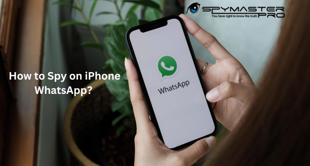 How to Spy on iPhone WhatsApp? Spymaster Pro Official Blog