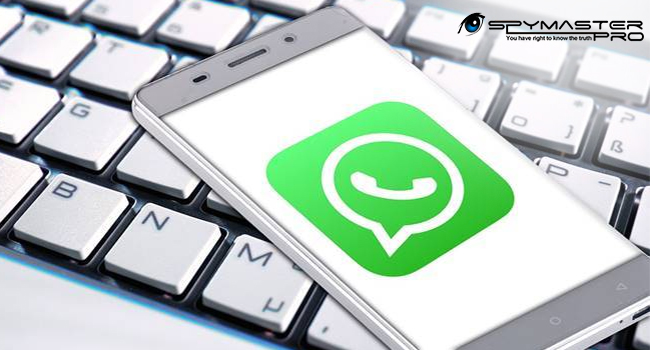 Leia as mensagens excluídas do Whatsapp clandestinamente