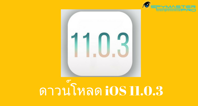 iOS 11.0.3